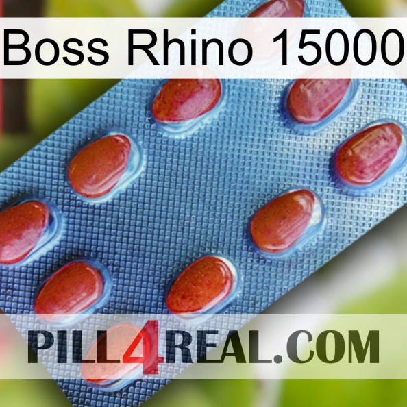 Boss Rhino 15000 06.jpg